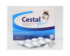 Cestal Plus tabletki na odrobaczenie dla psów