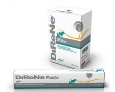 Geulincx Direne Pasta preparat na niewydolność nerek dla psa i kota 15ml
