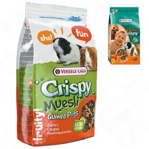 Versele Laga Crispy Muesli Guinea Pigs pokarm dla świnek morskich