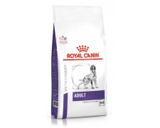Royal Canin Adult Medium Dog karma dla dorosłych psów ras średnich 11 kg-25 kg