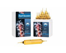Prodibio Reef Booster Pro doskonale zmikronizowanym suplementem odżywczym przeznaczonym dla korali i żywych kamieni 10 ampulek