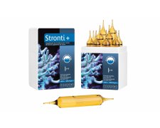Prodibio Stronti + Pro dostarcza stront potrzebny do stymulacji wzrostu korali 10 ampułek