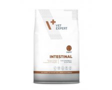 VetExpert 4T Diet Intestinal Dog Puppy dla szczeniąt z zaburzeniami trawiennymi 2kg