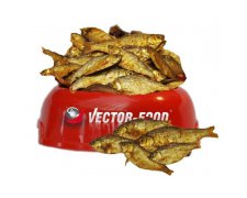 Vector-Food Suszona rybka (sardynka) 100g
