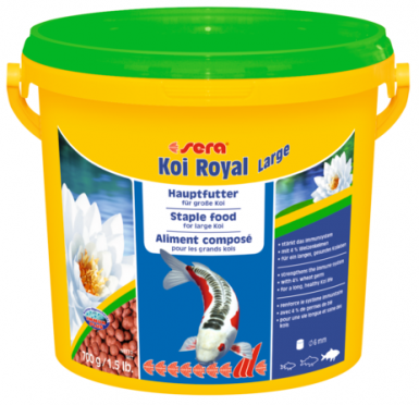 Sera Koi Royal Large pokarm podstawowy dla karpi powyżej 25cm 