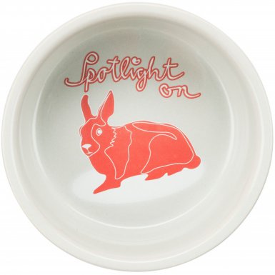 Trixie Miska dla królika ceramiczna 240ml 11cm