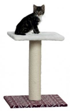 Trixie Drapak stojący Carlotta 49cm