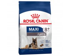 Royal Canin Maxi Ageing 8 + karma sucha dla psów dojrzałych, po 8 roku życia, ras dużych