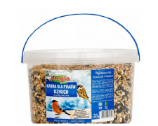 Alegia naturalny pokarm dla ptaków zimujących 