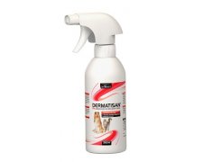 Dermatisan płyn wielokierunkowy 250ml
