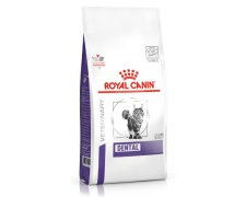 Royal Canin Cat Dental karma dla dorosłych kotów z problemami stomatologicznymi