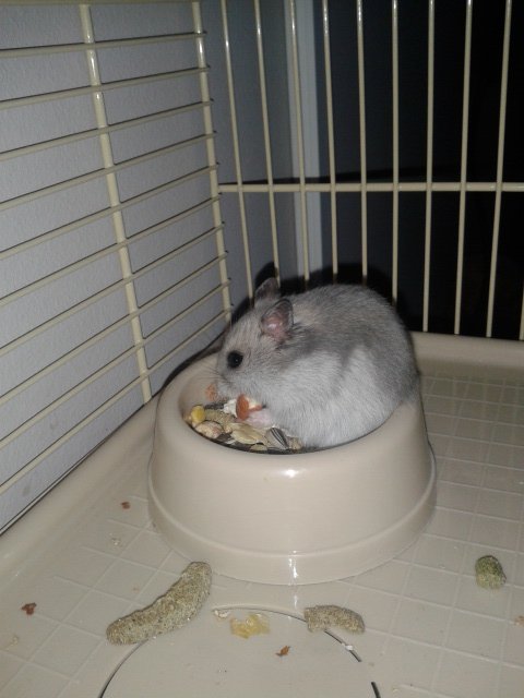 Nasz słodki Bobciu:)