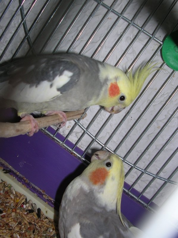 O... podoba mi się!!!