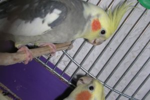 O... podoba mi się!!!