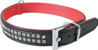 Zolux obroża skórzana z cyrkoniami 35cm