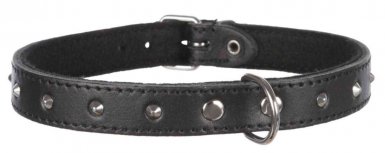 Trixie Obroża Basic z ćwiekami zzarna XS 21-25cm/12mm 