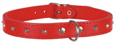 Trixie Obroża Basic z ćwiekami czerwona S 30-35cm/14 mm