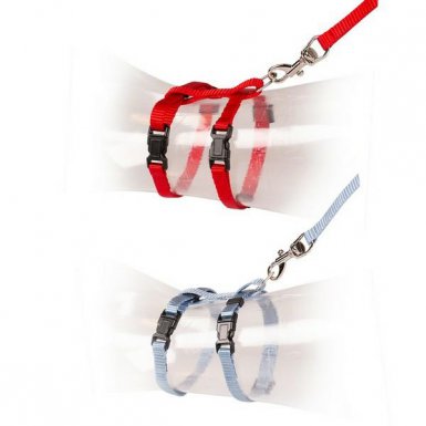 Duvo+ Szelki dla kociąt 15-25cm