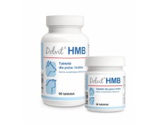 Dolvit HMB- karma uzupełniająca dietetyczna zalecana w okresie rekonwalescencji 