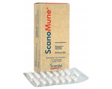 ScanVet Scanomune- preparat zwiększający odporność 30kaps.
