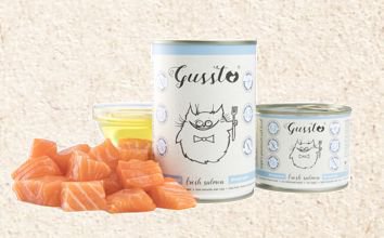 Gussto Super Premium Fresh Salmon świeży łosoś monobiałkowa, holistyczna, lekkostrawna karma dla kota