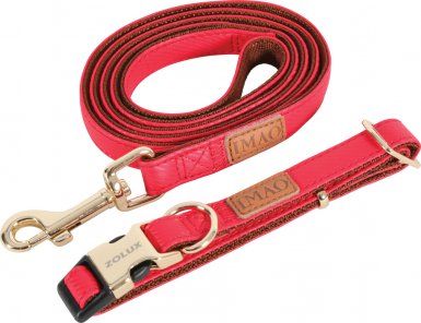 Zolux Imao Mayfair smycz dla psa 20 mm 1,2 m
