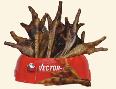 Vector Food Stopka Indycza Suszona dla psa