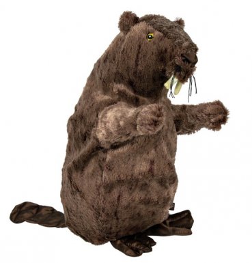 Trixie Bóbr pluszowy 40cm