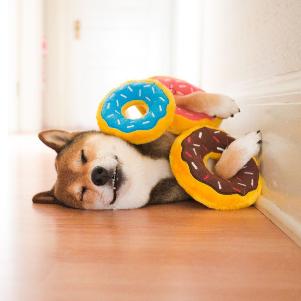 ZippyPaws pluszowy Donut standard zabawka dla psa 2 piszczałki
