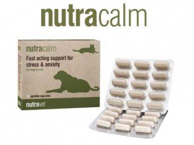 Nutravet NutraCalm for Dogs&Cats Uzupełniająca karma dla psów i kotów szybko działające wsparcie w stresie i niepokoju 9g 