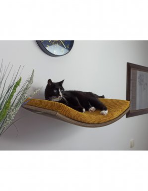 Cat's Atelier Wisząca półka na ścianę dla kota w kształcie łuku. Spód w kolorze natural 60cm 
