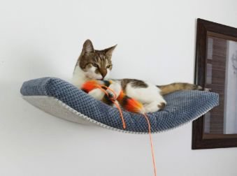 Cat's Atelie Wisząca półka na ścianę dla kota w kształcie łuku. Spód w kolorze srebrno-szarym 75cm