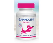 Gammolen Active preparat dla psów aktywnych pracujących 90 tabletek