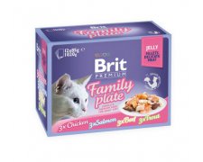 Brit Family Plate zestaw saszetek dla kota w sosie 12x85g
