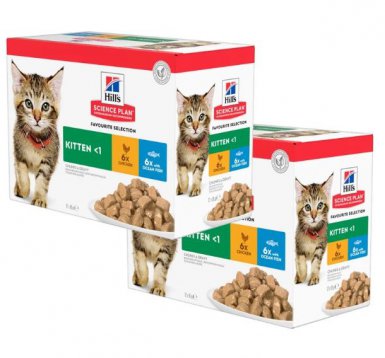 Hill's Science Plan Feline Kitten Multipack Chicken & Turkey saszetki kurczak indyk 12x85g