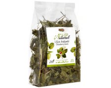 Alegia Liście truskawki 90g