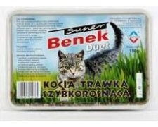 Super Benek Duet kocia trawa 150g