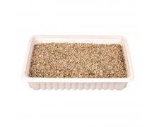 Trixie Trawa dla kota w pojemniku 100g
