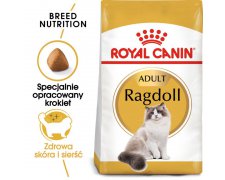 Royal Canin Ragdoll Adult karma sucha dla kotów dorosłych rasy ragdoll
