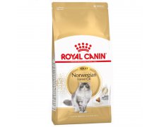Royal Canin Norwegian Forest Cat Adult specjalna karma sucha dla dorosłych kotów norweskich leśnych
