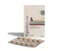 GEULINCX ICF Epato 750 Plus - wspomaga funkcje wątroby dla kotów i małych psów do 5kg