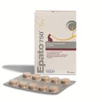 GEULINCX ICF Epato 750 Plus - wspomaga funkcje wątroby dla kotów i małych psów do 5kg