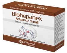 Biowet Biohepanex Advance Small kapsułki dla psów małych ras i kotów, wspomagające funkcje wątroby 40kaps.