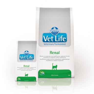 Farmina Vet Life Renal Cat