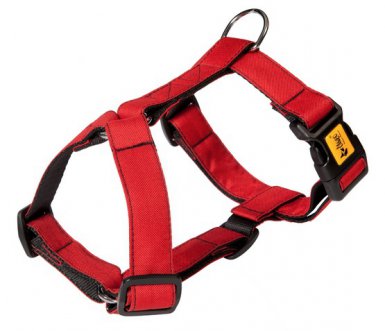 Dingo Szelki Guard dwupaskowe Scandi 3cm M 38-70cm