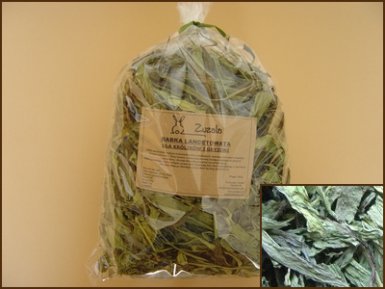 Zuzala babka lancetowata suszona 150g