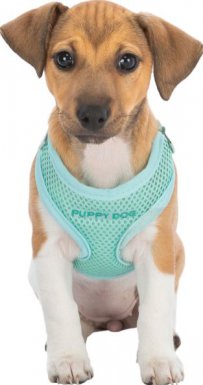 Trixie Junior miękkie szelki ze smyczą dla szczeniąt 36–50cm/10mm, 2.00m