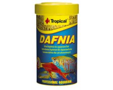 Tropical Dafnia suszona na słońcu rozwielitka