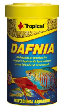 Tropical Dafnia suszona na słońcu rozwielitka