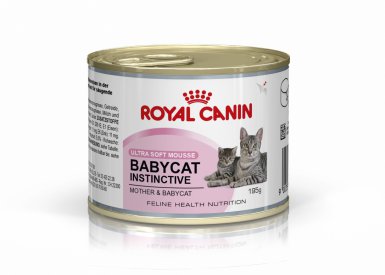 Royal Canin Mother & Babycat Instinctive Mousse karma mokra - mus dla kociąt i kotek karmiących puszka 195g